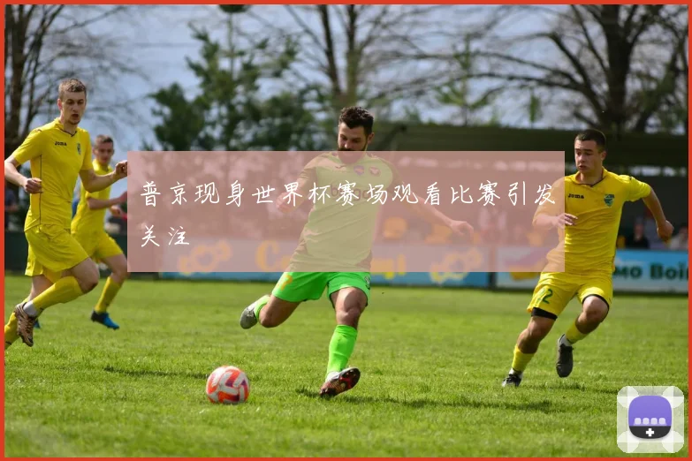 普京现身世界杯赛场观看比赛引发关注