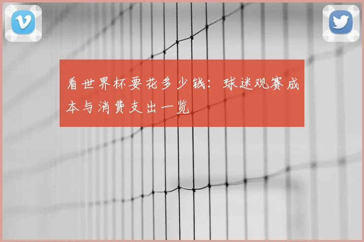 看世界杯要花多少钱：球迷观赛成本与消费支出一览