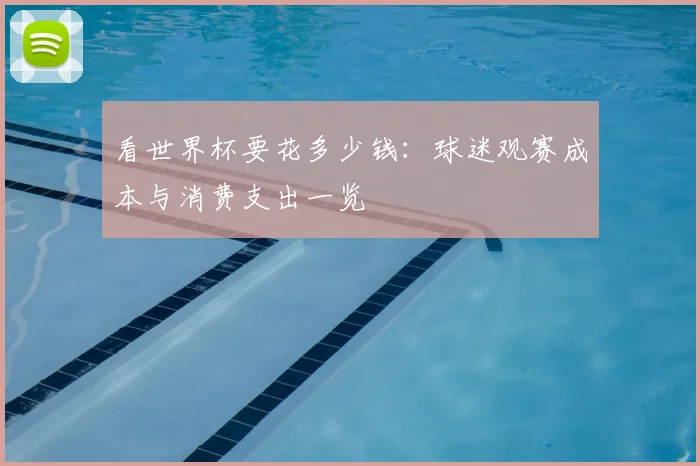 看世界杯要花多少钱:球迷观赛成本与消费支出一览
