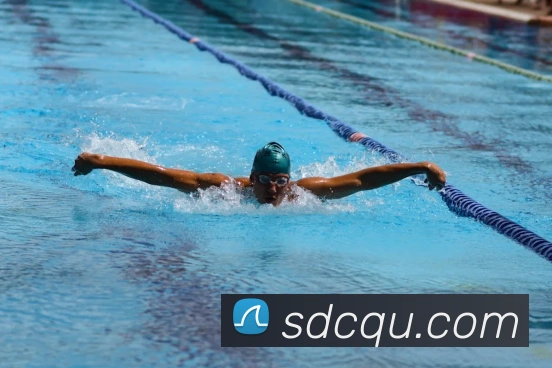 世界杯直播免费观看品牌故事